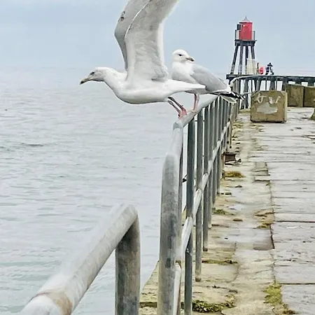 Coastguard's With A View