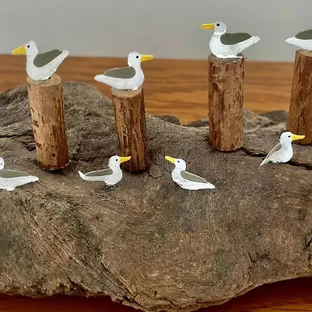 Ferienhaus Coastguard's With A View