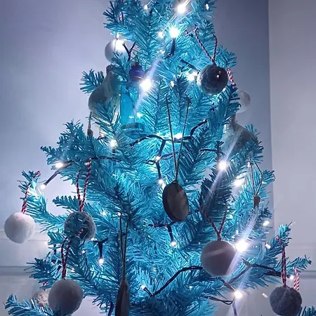 Coastguard's With A View Ferienhaus Robin Hood's Bay